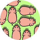 疯狂消除器2025官方新版图标