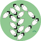 跑了个羊2026官方新版图标