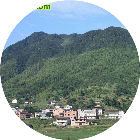 湘朱艺
