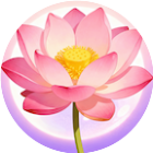 点点消消连连看2025官方新版图标