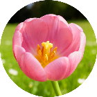 你有实力通过么2026官方新版图标