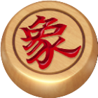 中国象棋残局大师2025官方新版图标