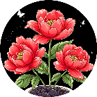 超级鲜花馆2025官方新版图标