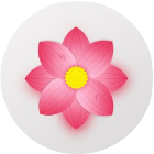 花朵爆爆乐