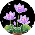 解压你最牛2026官方新版图标