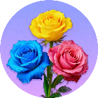 解压拿第一2025官方新版图标