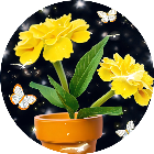 开心对对乐2025官方新版图标