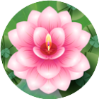 满地开花