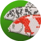 养条小锦鲤2026官方新版图标