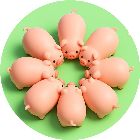 点点快闪开2026官方新版图标