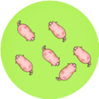 猪了个猪2026官方新版图标