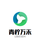 青果玩