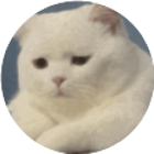 看我玩这关2025官方新版图标