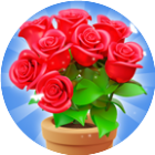 拼个花花