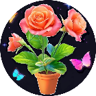 小花消消