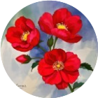 消个花2025官方新版图标