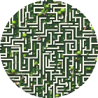 迷失的路