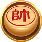 天天爱象棋2025官方新版图标