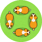 超级消动物2025官方新版图标