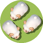 套住那只羊2025官方新版图标