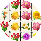 鲜花消消乐经典版2026官方新版图标