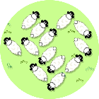 闯关全能王