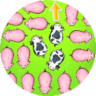 小动物营救救2026官方新版图标