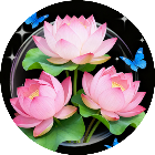 消了朵花2025官方新版图标