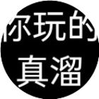 你玩的真溜2025官方新版图标