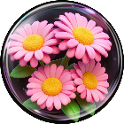 消除无压力2026官方新版图标