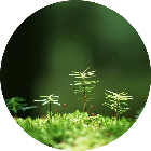 superstart2025官方新版图标