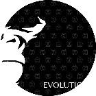 Evolution Park2025官方新版图标