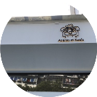 AnanasetKoala烤凤梨2025官方新版图标