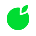 新桔代驾2025官方新版图标