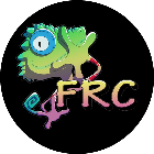 FRC专研级车身膜2025官方新版图标