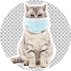 Duolaimi萌宠大本营2025官方新版图标