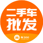 车300二手车海量真车源快速买卖2025官方新版图标