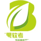 系统集成项目管理工程师软考2025官方新版图标