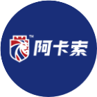 阿卡索2025官方新版图标