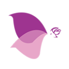 兜美2025官方新版图标