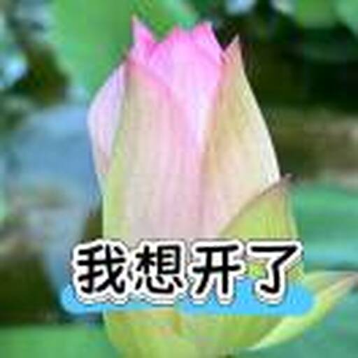 玩游戏的宝子2025官方新版图标