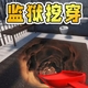 闯关比拼2026官方新版图标