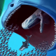 应用icon-深海鱼进化2024官方新版