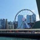 林哥的私房菜2026官方新版图标