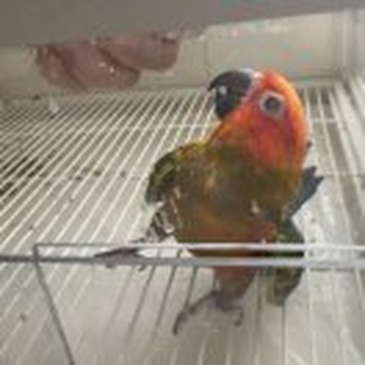 无尽防御阵2026官方新版图标